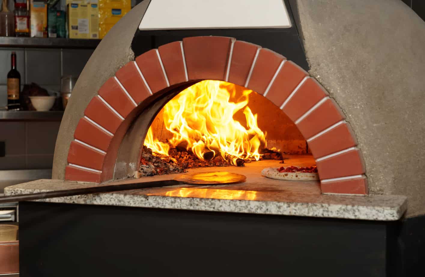 Homemade Pizza Pro Pizza Oven Photo