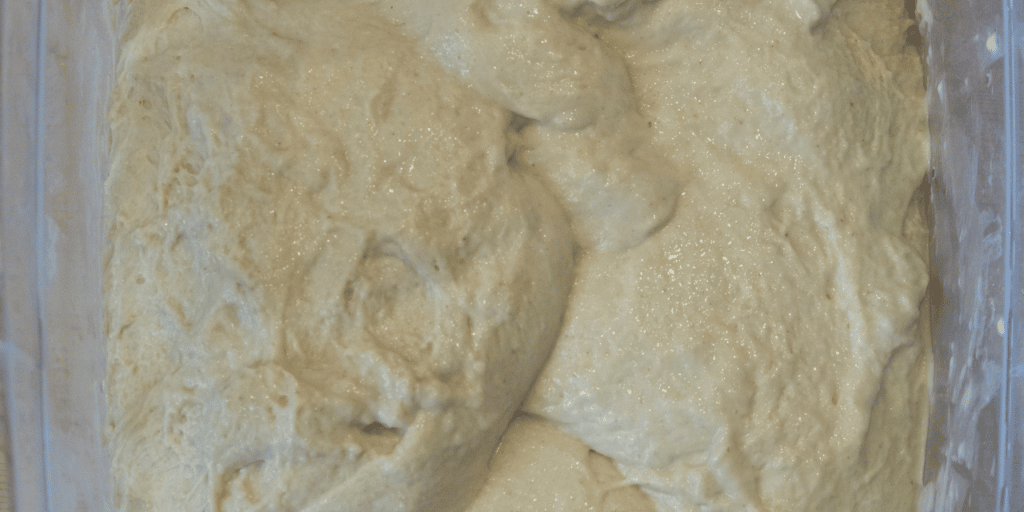 Pre-fermented dough or pate fermentee