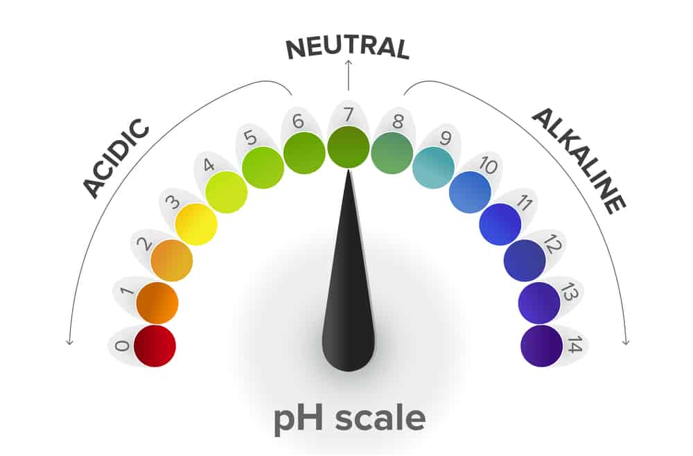 PH Scale Vector Image