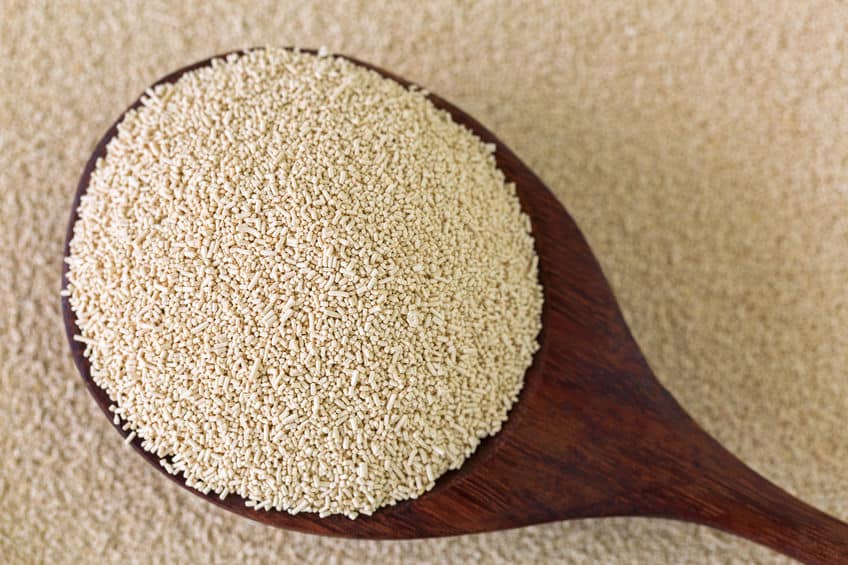 Active dry yeast definition
