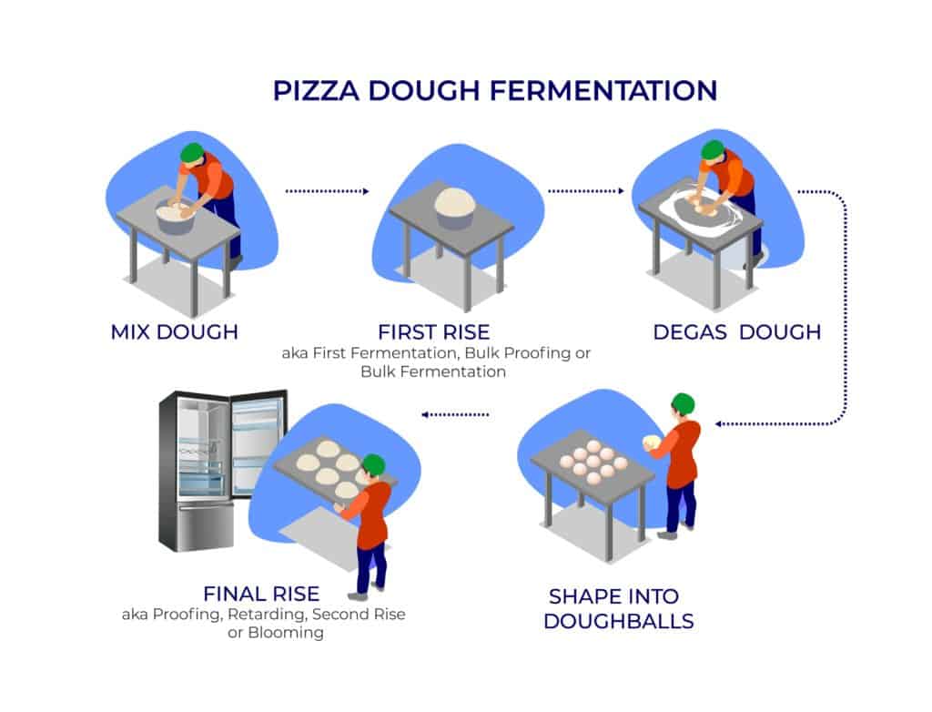 pizza dough fermentation process infographic