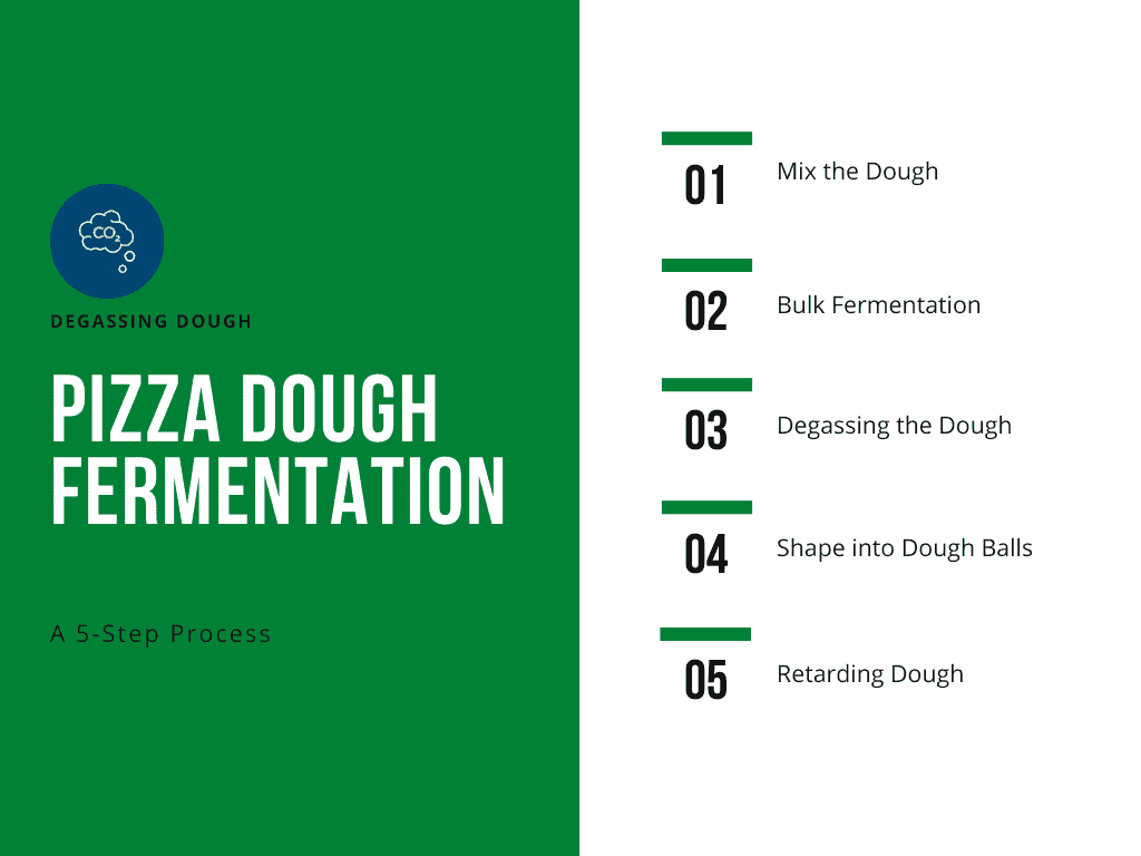 pizza dough fermentation process image