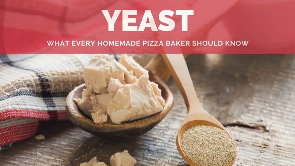 Yeast for Pizza Dough