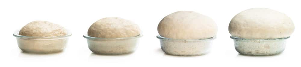 rising dough at different stages