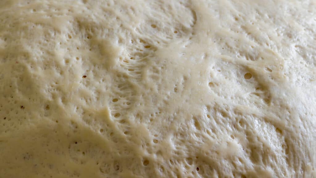Biochemical gluten development in pizza dough