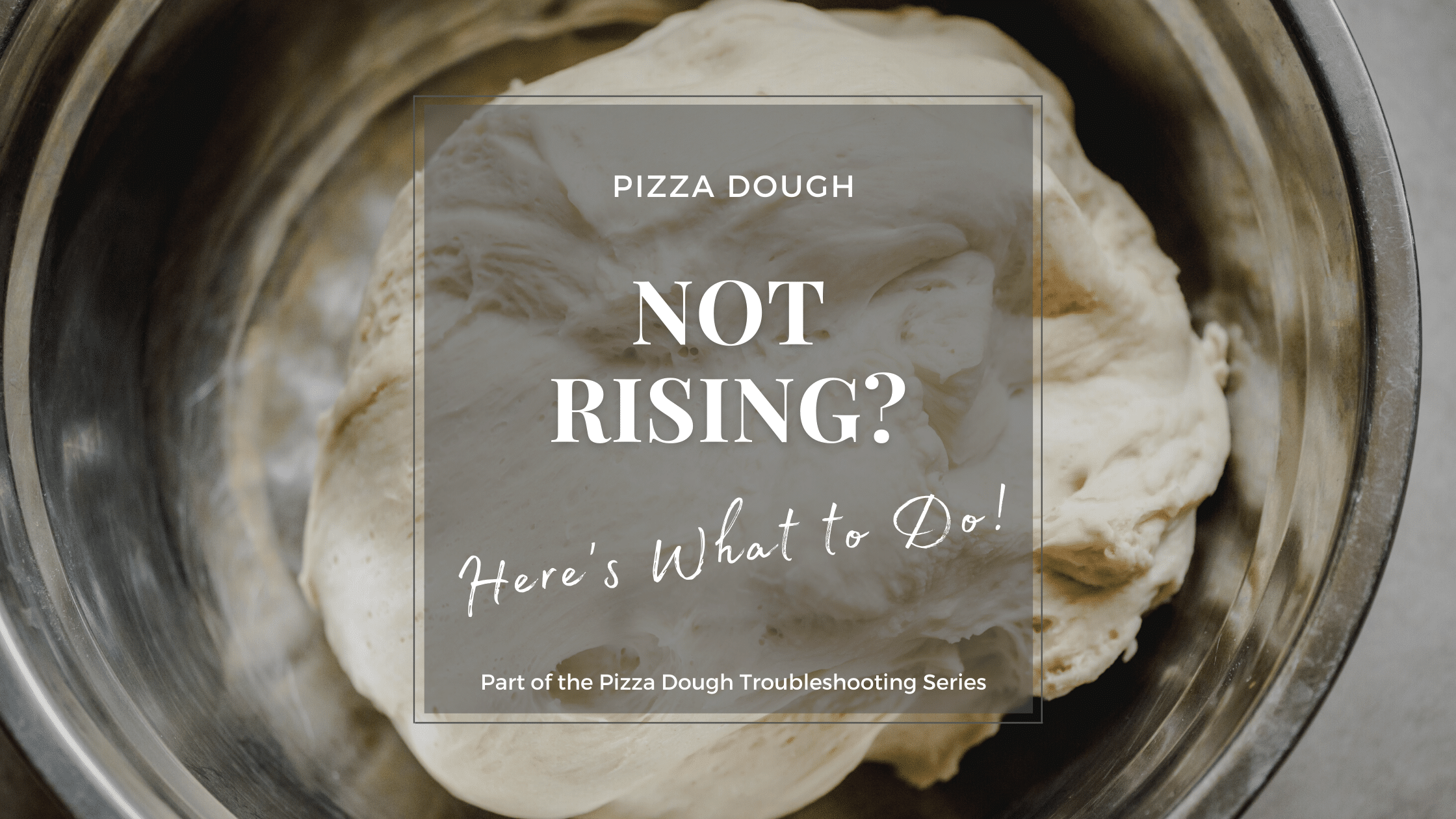 Pizza Dough Not Rising:  Here’s What You Need to Do