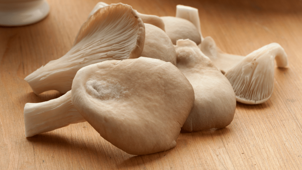 Oyster-mushrooms