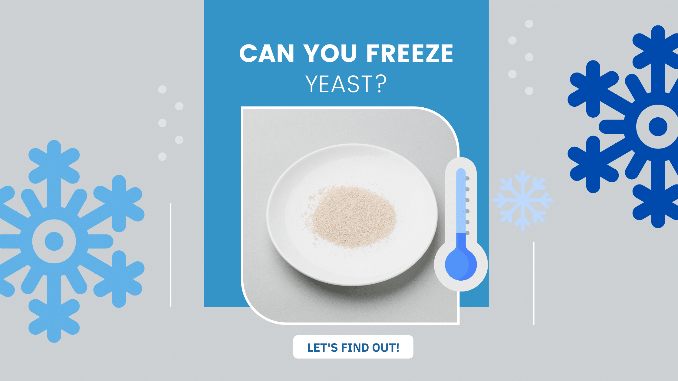 Can you freeze yeast