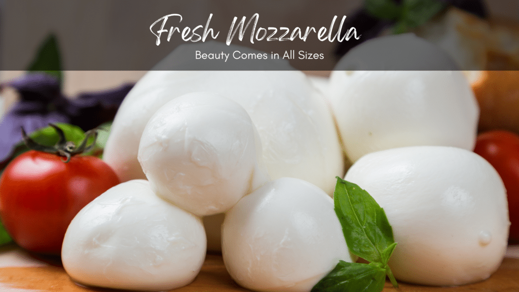 Mozzarella Sizes