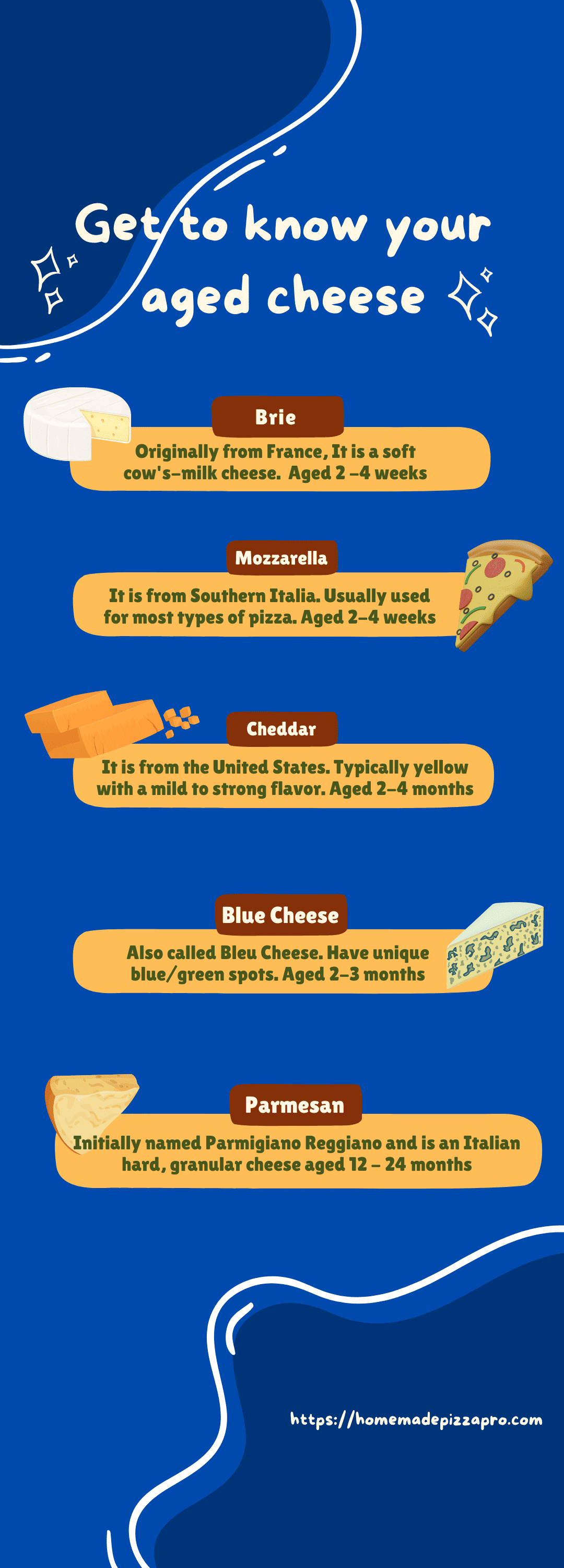 Aged Cheese Infographic