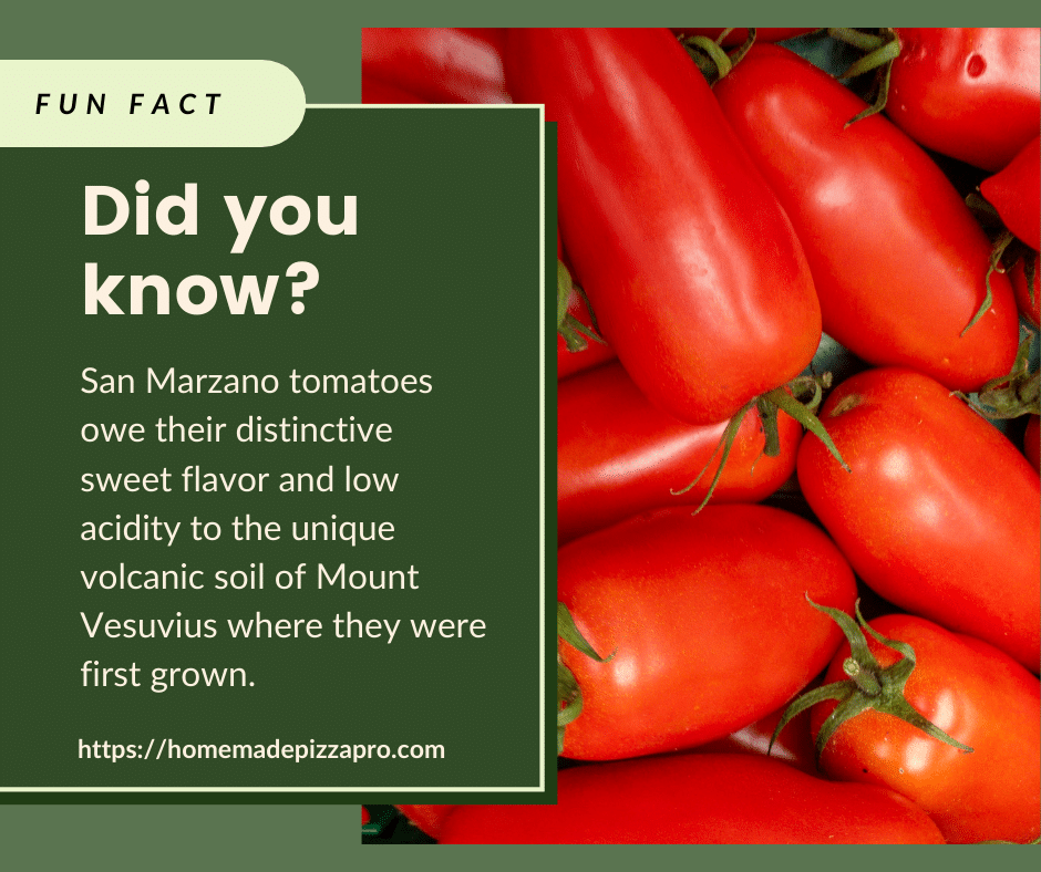 san marzano tomatoes fun fact infographic